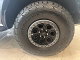 New 2025 Ford F150 Raptor image 4