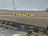 New 2025 Ford Expedition Tremor image 4
