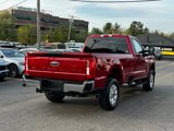 Used 2024 Ford F250 XLT image 5