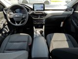New 2025 Ford Escape Active w/ Cold Weather Package image 5