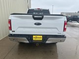 Used 2019 Ford F150 XLT w/ Equipment Group 302A Luxury image 6
