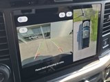 New 2025 Ford F150 XLT image 4