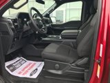 New 2025 Ford F150 STX w/ STX Black Appearance Package image 5