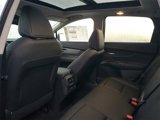 New 2025 Nissan Murano SL image 5
