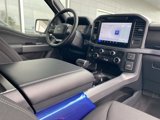 New 2025 Ford F150 XLT w/ Equipment Group 302A MID image 6