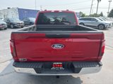 New 2025 Ford F150 XLT w/ Equipment Group 301A Standard image 4