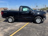 New 2025 Ford F150 XL w/ Equipment Group 103A High image 4