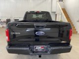 Used 2016 Ford F150 XLT w/ Equipment Group 301A Mid image 6