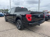 Certified 2023 Ford F150 XLT w/ Equipment Group 302A High image 6