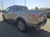 Used 2013 Ford F150 FX4 image 3