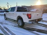 New 2025 Ford F150 XLT w/ Equipment Group 303A High image 5