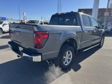 New 2025 Ford F150 XLT w/ Equipment Group 302A MID image 3