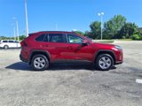 Certified 2022 Toyota RAV4 XLE image 2