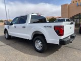 New 2025 Ford F150 XL image 3
