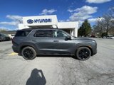 New 2025 Hyundai Palisade XRT image 2