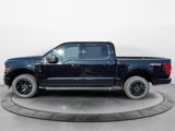 New 2025 Ford F150 XLT image 2