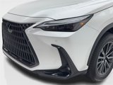 Used 2025 Lexus NX 350h AWD w/ Premium Package image 5