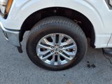 New 2025 Ford F150 XLT w/ Equipment Group 302A MID image 5