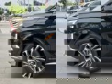 New 2025 Hyundai Palisade Calligraphy image 6