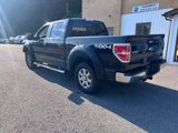 Used 2013 Ford F150 XLT w/ Luxury Equipment Group image 5