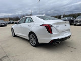Used 2021 Cadillac CT4 Premium Luxury image 3