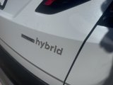 New 2025 Hyundai Tucson Limited image 5