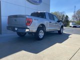 Used 2023 Ford F150 XLT image 4
