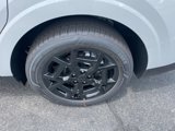 New 2025 Kia Carnival SX image 5