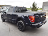 Used 2025 Ford F150 Platinum w/ Equipment Group 702A High image 3
