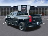 Certified 2024 Chevrolet Silverado 1500 Custom Trail Boss image 3