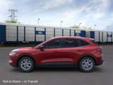New 2025 Ford Escape Active w/ Tech Pack #1 image 3
