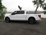 Used 2023 Ford F150 4x4 SuperCrew image 4