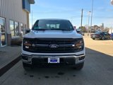 New 2025 Ford F150 XLT image 5