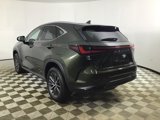 Used 2023 Lexus NX 250 FWD w/ Premium Package image 5