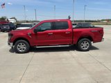 New 2025 Ford F150 XLT w/ Equipment Group 301A Standard image 6