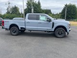 New 2025 Ford F250 Platinum image 4
