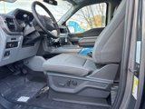 New 2025 Ford F150 XLT w/ Equipment Group 302A MID image 4