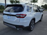 New 2025 Honda Pilot Elite image 5