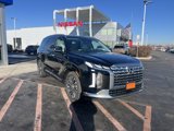 New 2025 Hyundai Palisade Calligraphy image 2