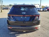 Used 2024 Hyundai Tucson SEL image 4
