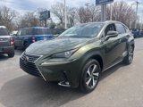 Used 2021 Lexus NX 300 AWD w/ Premium Package image 2