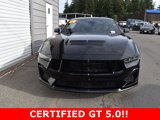 Certified 2024 Ford Mustang GT w/ Mustang Nite Pony Package image 2