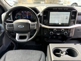 Used 2021 Ford F150 XLT w/ Equipment Group 302A High image 2