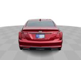 Certified 2024 Cadillac CT5 Premium Luxury image 3