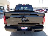 New 2025 Ford F150 STX w/ STX Black Appearance Package image 6