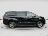 Used 2025 Toyota Sienna LE image 6