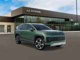 New 2026 Hyundai Ioniq 9 Limited image 2