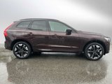 New 2026 Volvo XC60 T8 Plus w/ Climate Package PRO image 2