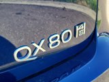 New 2025 INFINITI QX80 Sensory image 5