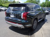 New 2025 Hyundai Palisade Calligraphy image 5
